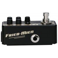 MOOER 012 FRIED-MIEN / US GOLD 100