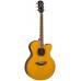 YAMAHA CPX600 (VT)
