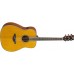 YAMAHA FG-TA (Vintage Tint)