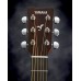 YAMAHA FGX800C (SDB) YAMAHA FGX800C (SDB)