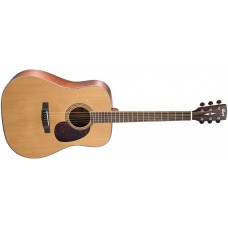 CORT EARTH 100 (NAT)