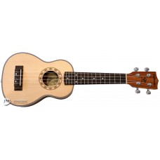 PARKSONS UK21C