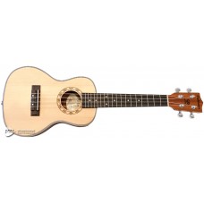 PARKSONS UK24C