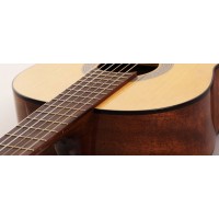 CORT AC100 (SG)
