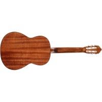 CORT AC100 (SG)