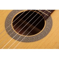 CORT AC100 (SG)