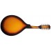 MAXTONE MGRC202 MAXTONE MGRC202