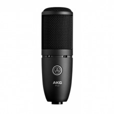 AKG Perception P120