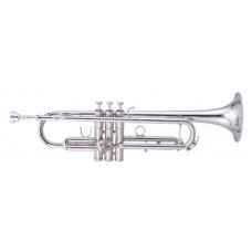 MAXTONE TTC60N2 (TTC234N)