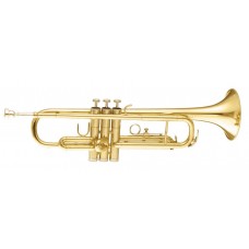 MAXTONE TTC30L (TTC1C)
